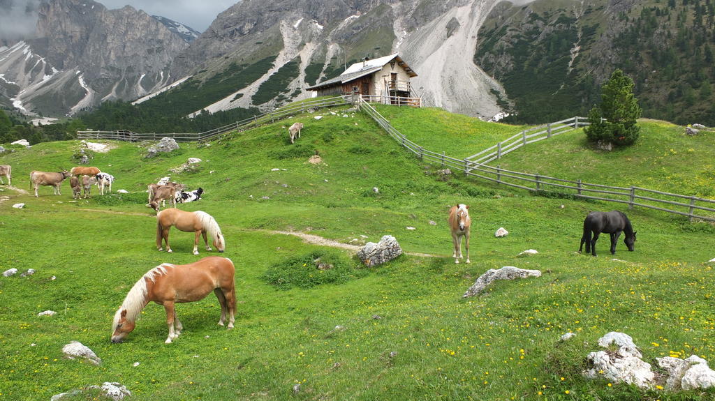 Garni Le Chalet Santa Cristina Val Gardena Exteriér fotografie