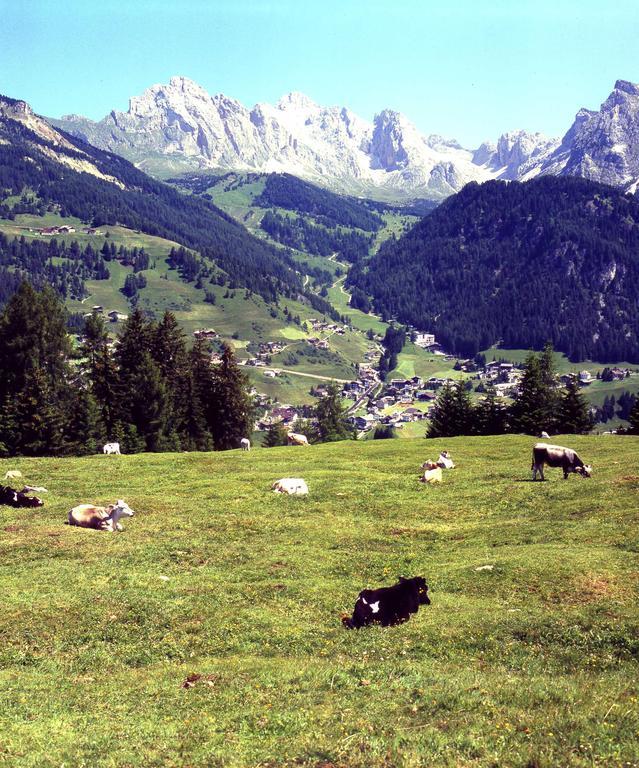 Garni Le Chalet Santa Cristina Val Gardena Exteriér fotografie